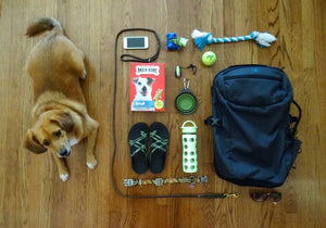 Packing List - Dog Park