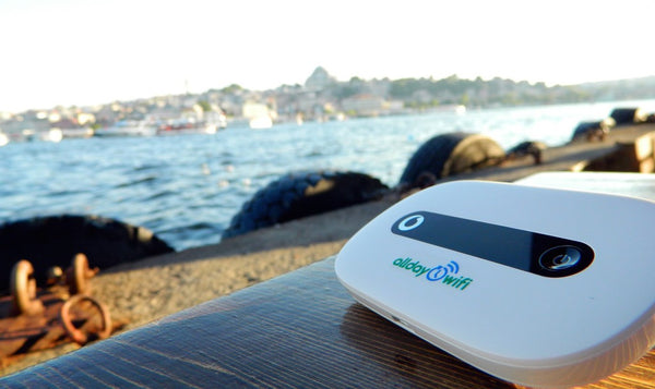 Shelter, Water, Food, Alldaywifi